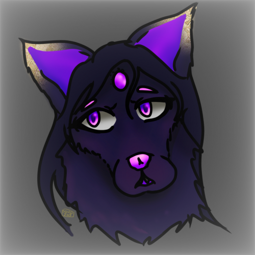 Character portrait drawn by the user, Squid.